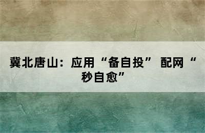 冀北唐山：应用“备自投” 配网“秒自愈”